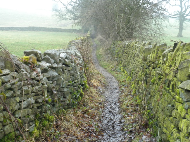Walled Trail